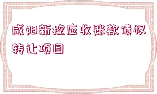 咸陽新控應(yīng)收賬款債權(quán)轉(zhuǎn)讓項目