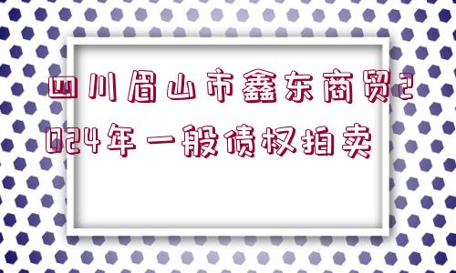 四川眉山市鑫東商貿(mào)2024年一般債權(quán)拍賣