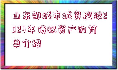 山東鄒城市城資控股2024年債權(quán)資產(chǎn)的簡單介紹