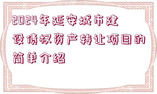 2024年延安城市建設(shè)債權(quán)資產(chǎn)轉(zhuǎn)讓項(xiàng)目的簡(jiǎn)單介紹