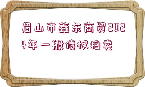 眉山市鑫東商貿(mào)2024年一般債權(quán)拍賣(mài)