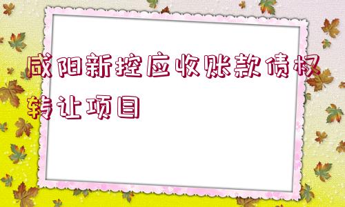 咸陽新控應收賬款債權轉讓項目