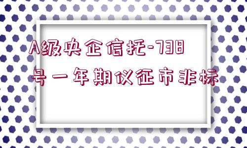 A級央企信托-738號一年期儀征市非標(biāo)