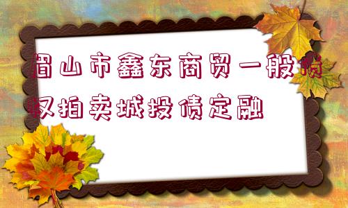 眉山市鑫東商貿(mào)一般債權(quán)拍賣城投債定融