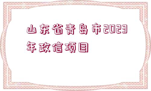 山東省青島市2023年政信項(xiàng)目