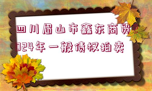 四川眉山市鑫東商貿(mào)2024年一般債權(quán)拍賣