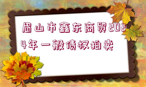 眉山市鑫東商貿(mào)2024年一般債權(quán)拍賣(mài)