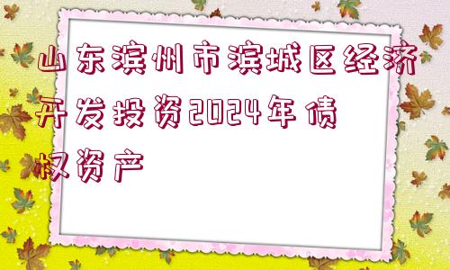 山東濱州市濱城區(qū)經(jīng)濟開發(fā)投資2024年債權(quán)資產(chǎn)