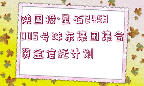 陜國投·星石2453005號灃東集團(tuán)集合資金信托計劃