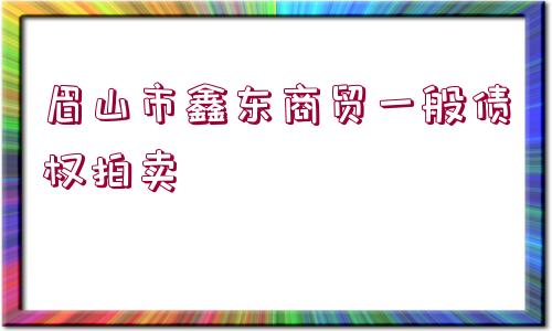 眉山市鑫東商貿(mào)一般債權(quán)拍賣