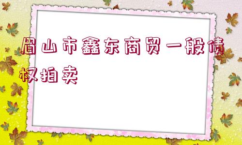 眉山市鑫東商貿(mào)一般債權(quán)拍賣