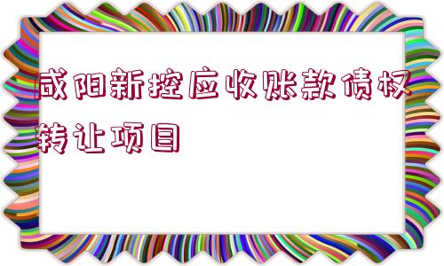 咸陽新控應收賬款債權轉讓項目