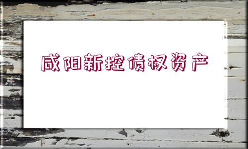 咸陽(yáng)新控債權(quán)資產(chǎn)