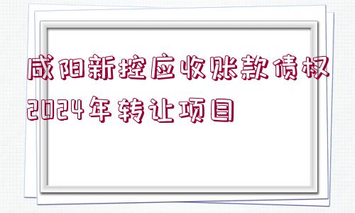 咸陽新控應(yīng)收賬款債權(quán)2024年轉(zhuǎn)讓項目