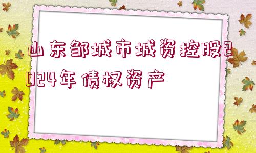 山東鄒城市城資控股2024年債權(quán)資產(chǎn)