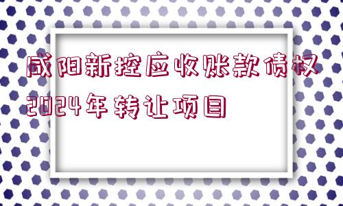 咸陽新控應(yīng)收賬款債權(quán)2024年轉(zhuǎn)讓項(xiàng)目