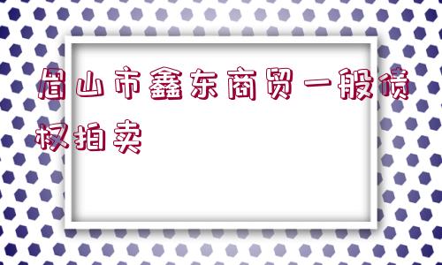 眉山市鑫東商貿(mào)一般債權拍賣