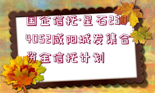 國(guó)企信托·星石2304052咸陽(yáng)城發(fā)集合資金信托計(jì)劃