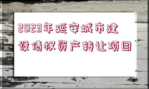 2023年延安城市建設債權資產轉讓項目