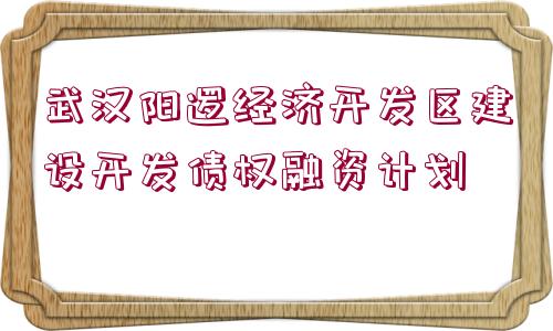 武漢陽邏經(jīng)濟(jì)開發(fā)區(qū)建設(shè)開發(fā)債權(quán)融資計劃