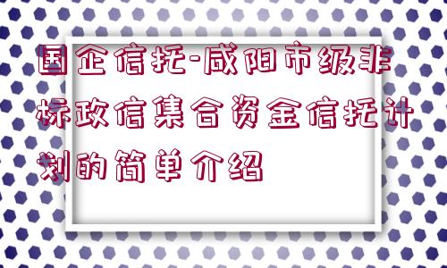 國(guó)企信托-咸陽市級(jí)非標(biāo)政信集合資金信托計(jì)劃的簡(jiǎn)單介紹