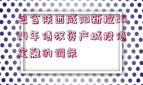 包含陜西咸陽(yáng)新控2024年債權(quán)資產(chǎn)城投債定融的詞條