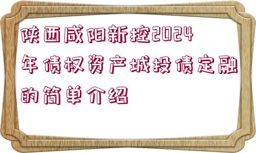 陜西咸陽(yáng)新控2024年債權(quán)資產(chǎn)城投債定融的簡(jiǎn)單介紹