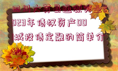 四川大英縣通源實(shí)業(yè)2023年債權(quán)資產(chǎn)001城投債定融的簡(jiǎn)單介紹