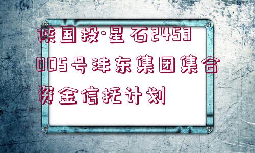 陜國投·星石2453005號灃東集團集合資金信托計劃