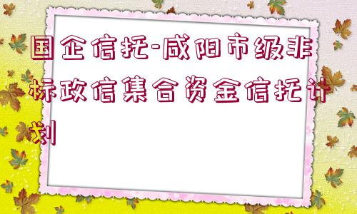 國企信托-咸陽市級(jí)非標(biāo)政信集合資金信托計(jì)劃