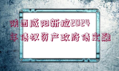 陜西咸陽(yáng)新控2024年債權(quán)資產(chǎn)政府債定融