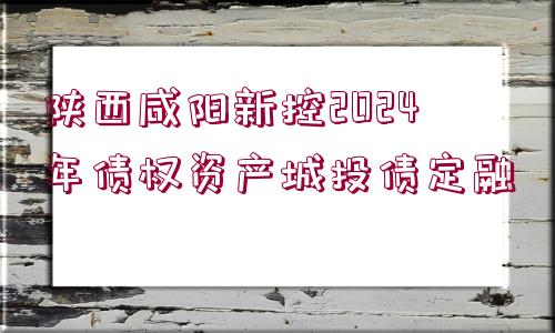 陜西咸陽新控2024年債權資產城投債定融