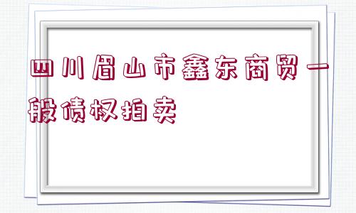 四川眉山市鑫東商貿(mào)一般債權(quán)拍賣