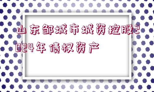 山東鄒城市城資控股2024年債權(quán)資產(chǎn)