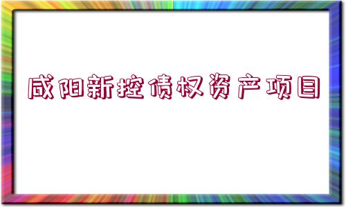 咸陽新控債權(quán)資產(chǎn)項(xiàng)目