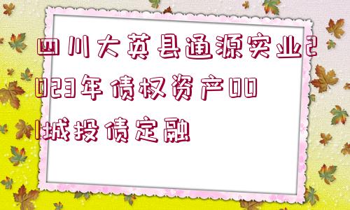 四川大英縣通源實(shí)業(yè)2023年債權(quán)資產(chǎn)001城投債定融