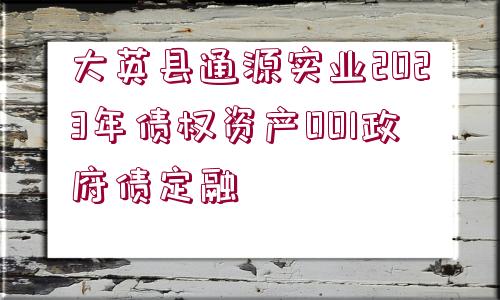 大英縣通源實(shí)業(yè)2023年債權(quán)資產(chǎn)001政府債定融