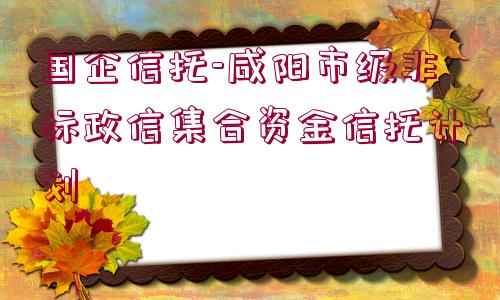 國(guó)企信托-咸陽市級(jí)非標(biāo)政信集合資金信托計(jì)劃