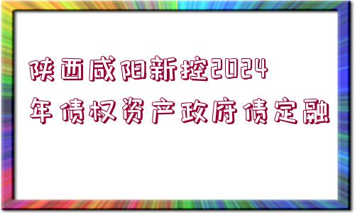 陜西咸陽新控2024年債權(quán)資產(chǎn)政府債定融