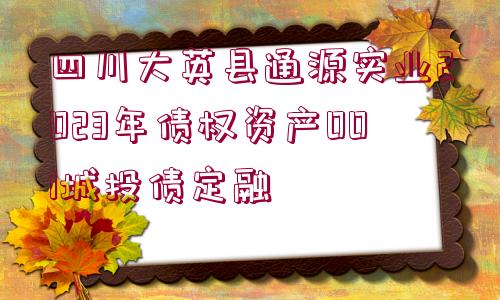 四川大英縣通源實(shí)業(yè)2023年債權(quán)資產(chǎn)001城投債定融