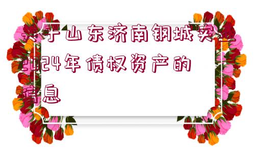 關(guān)于山東濟(jì)南鋼城實(shí)業(yè)2024年債權(quán)資產(chǎn)的信息