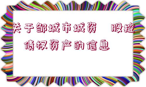 關于鄒城市城資?股控?債權資產的信息