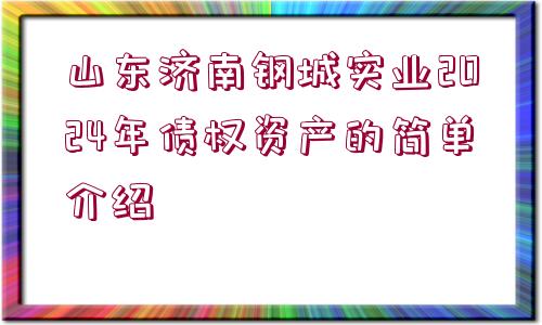 山東濟(jì)南鋼城實(shí)業(yè)2024年債權(quán)資產(chǎn)的簡(jiǎn)單介紹