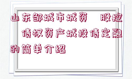 山東鄒城市城資?股控?債權(quán)資產(chǎn)城投債定融的簡(jiǎn)單介紹