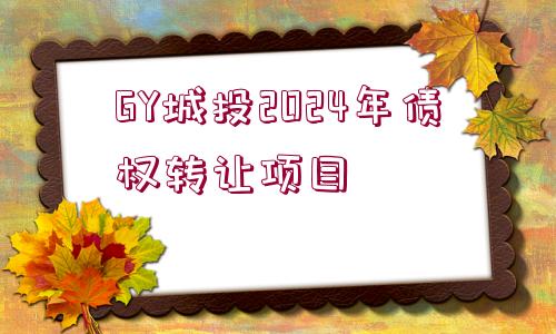 GY城投2024年債權(quán)轉(zhuǎn)讓項(xiàng)目