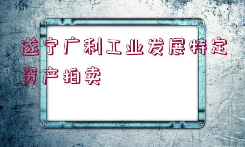 遂寧廣利工業(yè)發(fā)展特定資產(chǎn)拍賣(mài)