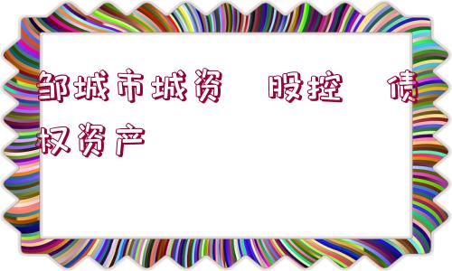 鄒城市城資?股控?債權資產