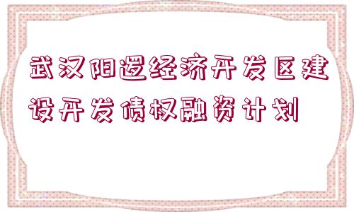 武漢陽邏經(jīng)濟開發(fā)區(qū)建設開發(fā)債權(quán)融資計劃