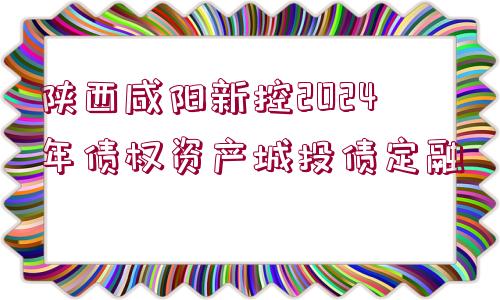 陜西咸陽(yáng)新控2024年債權(quán)資產(chǎn)城投債定融