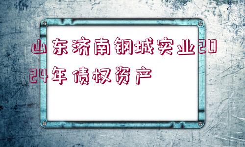 山東濟南鋼城實業(yè)2024年債權(quán)資產(chǎn)